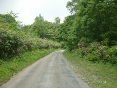 road condition