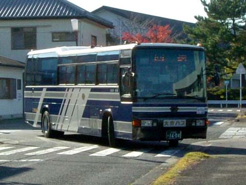 大型
