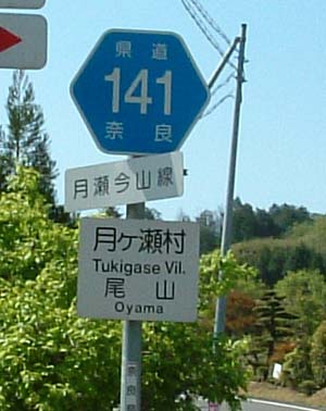 ԍW