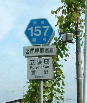 写真1