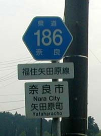 ʐ^1