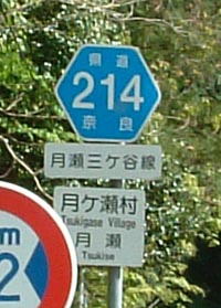 ʐ^1