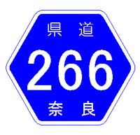 ʐ^1