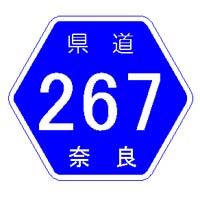 ʐ^1