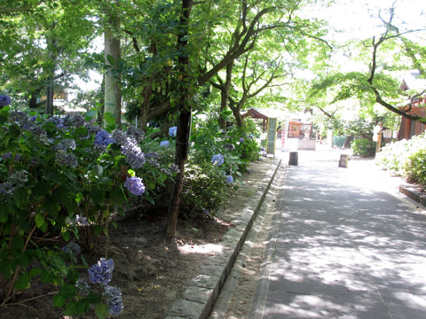 補遺9