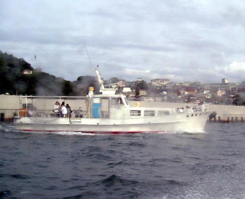 VnD