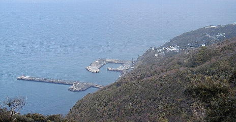 御蔵島村遠景