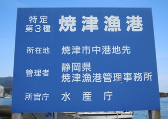 焼津漁港
