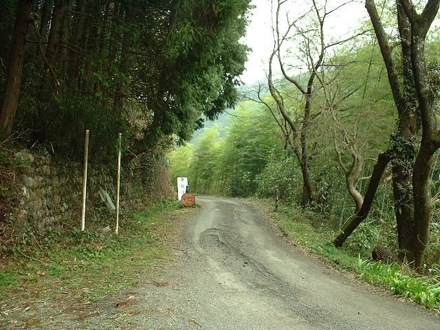 010325_a.jpg