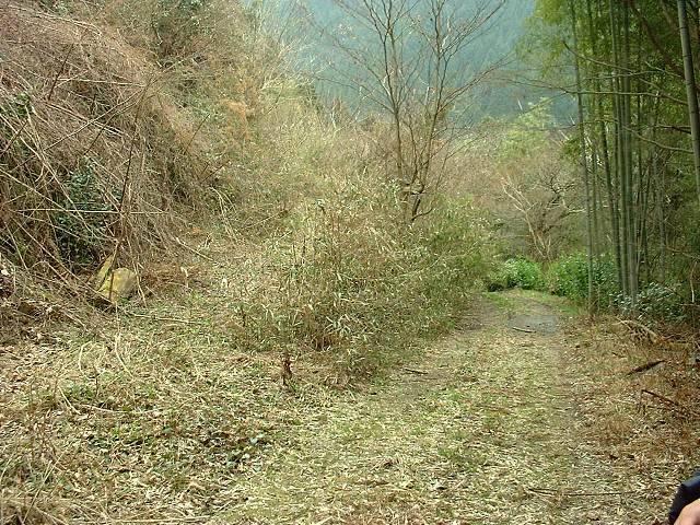 010325_k.jpg