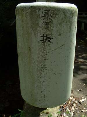 aichi42415s.jpg