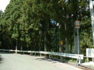 aichi50402s.jpg