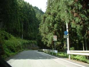aichi50403s.jpg