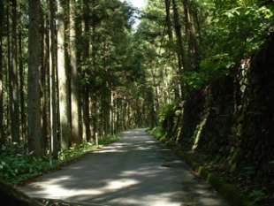 aichi50413s.jpg