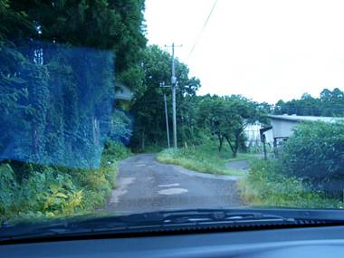 030617_186s.jpg