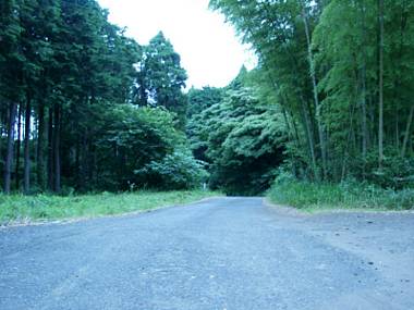030617_195s.jpg