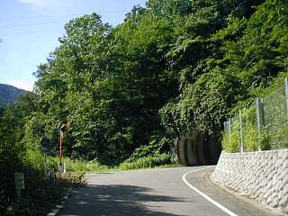 gifu451054s.jpg