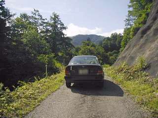 gifu451067s.jpg