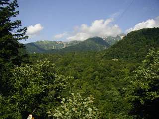 gifu451080s.jpg
