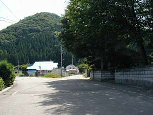 huku36909s.jpg