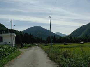 huku36922s.jpg