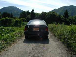 huku36923s.jpg