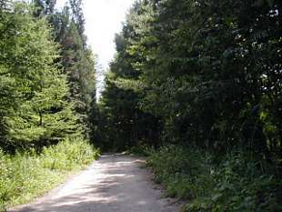 huku36924s.jpg