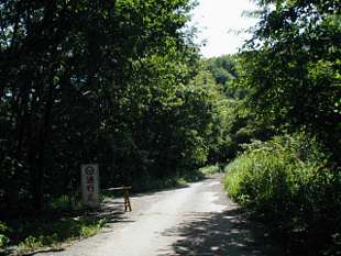 huku36930s.jpg