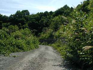 huku36934s.jpg