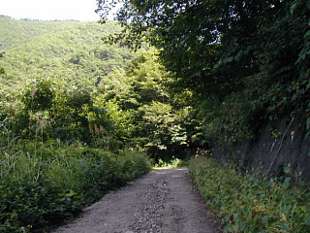 huku36935s.jpg