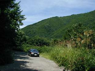 huku36939s.jpg