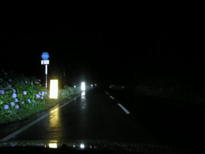 030709_169s.jpg