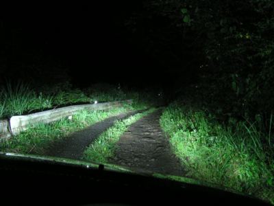 030709_201s.jpg