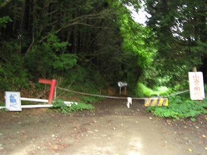 030709_099s.jpg
