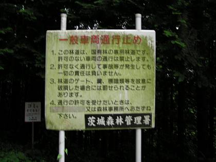 030709_100s.jpg