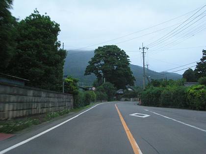 030709_112s.jpg