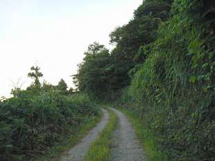新潟県道546号線 駒込北潟線