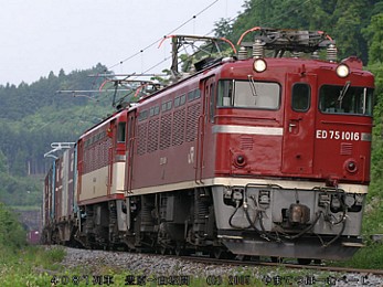 050528_005s.jpg