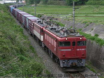 050528_034s.jpg