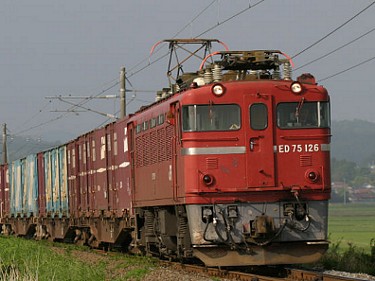 ED75激写大作戦！