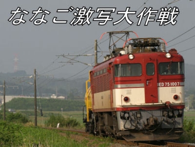 ED75激写大作戦！